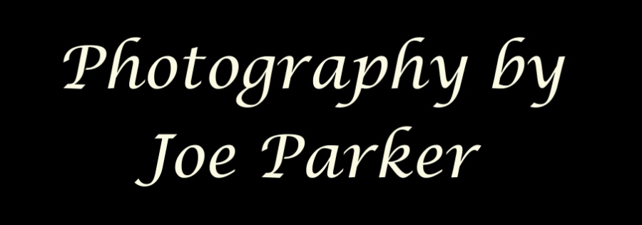 Photography by Joe Parker Logo