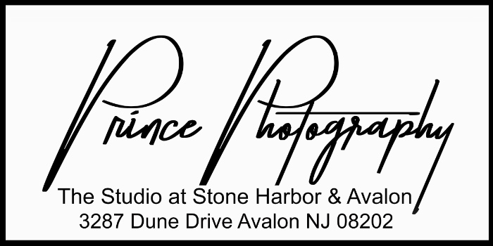 Prince Photography Logo