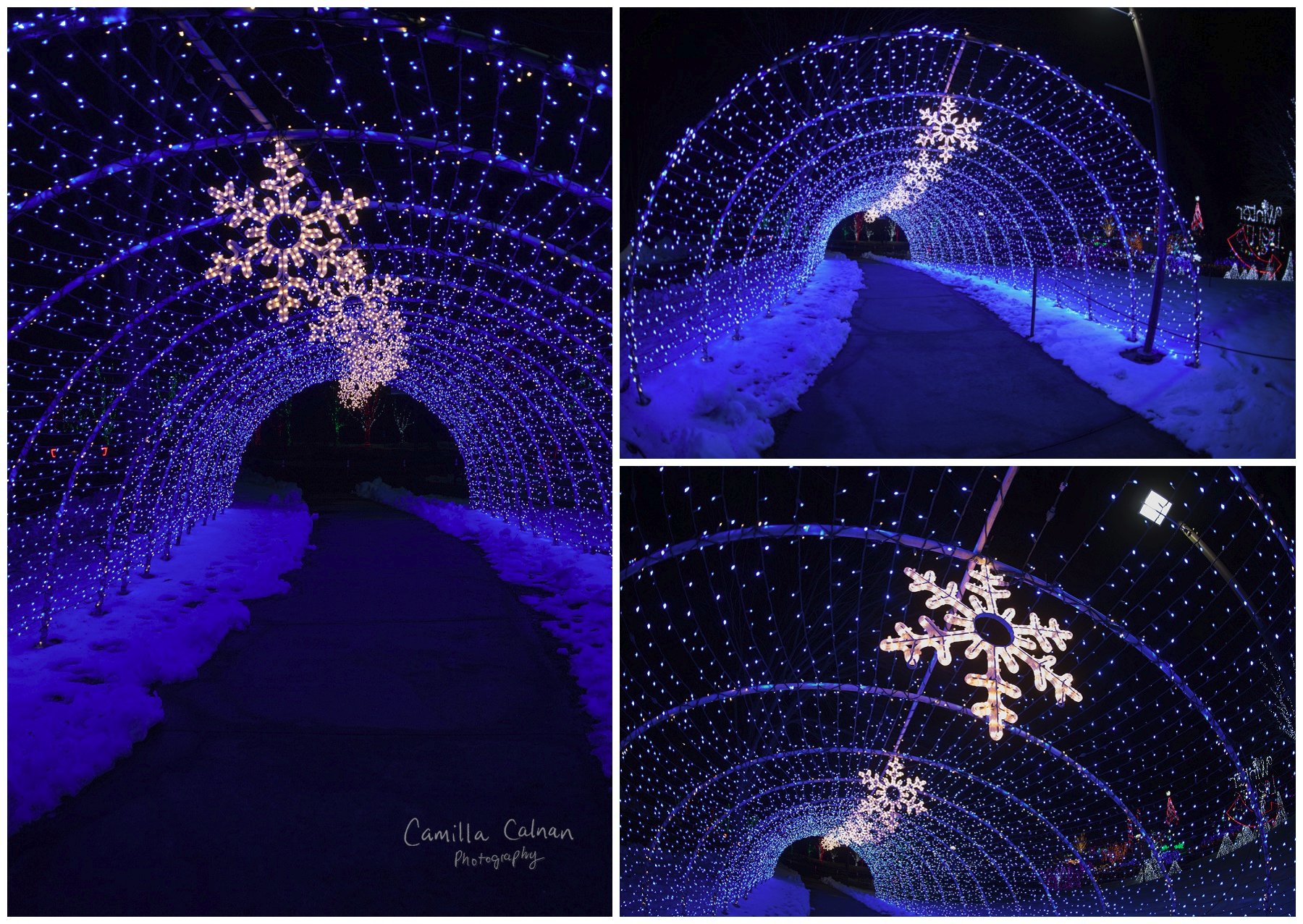 NC Arboretum Winter Lights 2018 - Camilla Calnan Photography Asheville ...