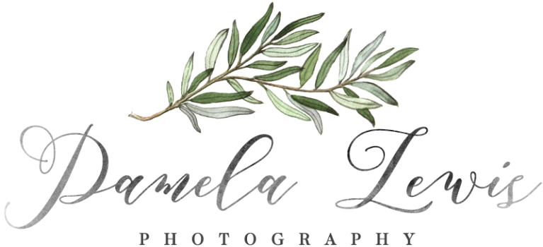 pamela lewis Logo