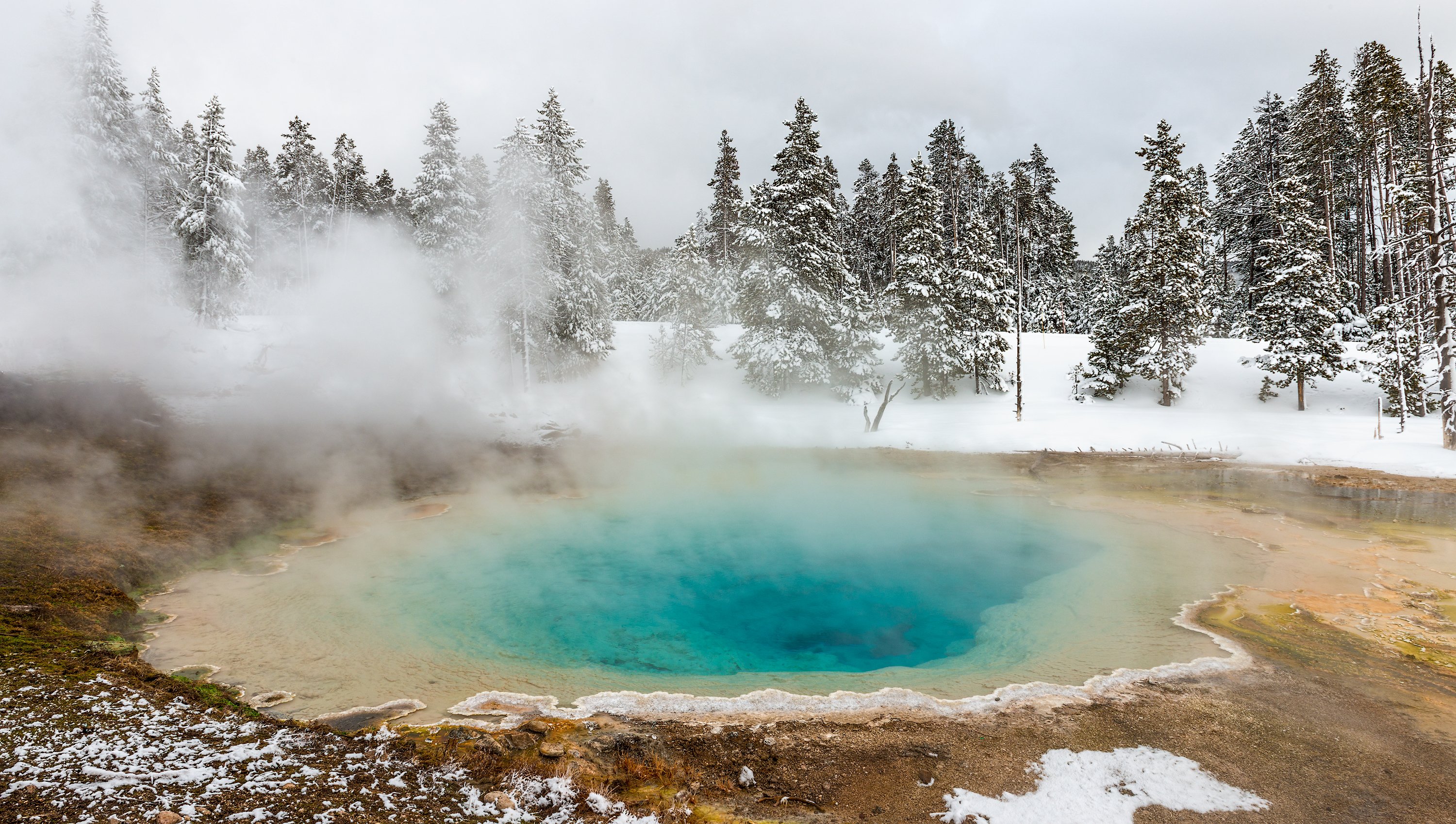 Yellowstone Winter Photography Workshop 2022