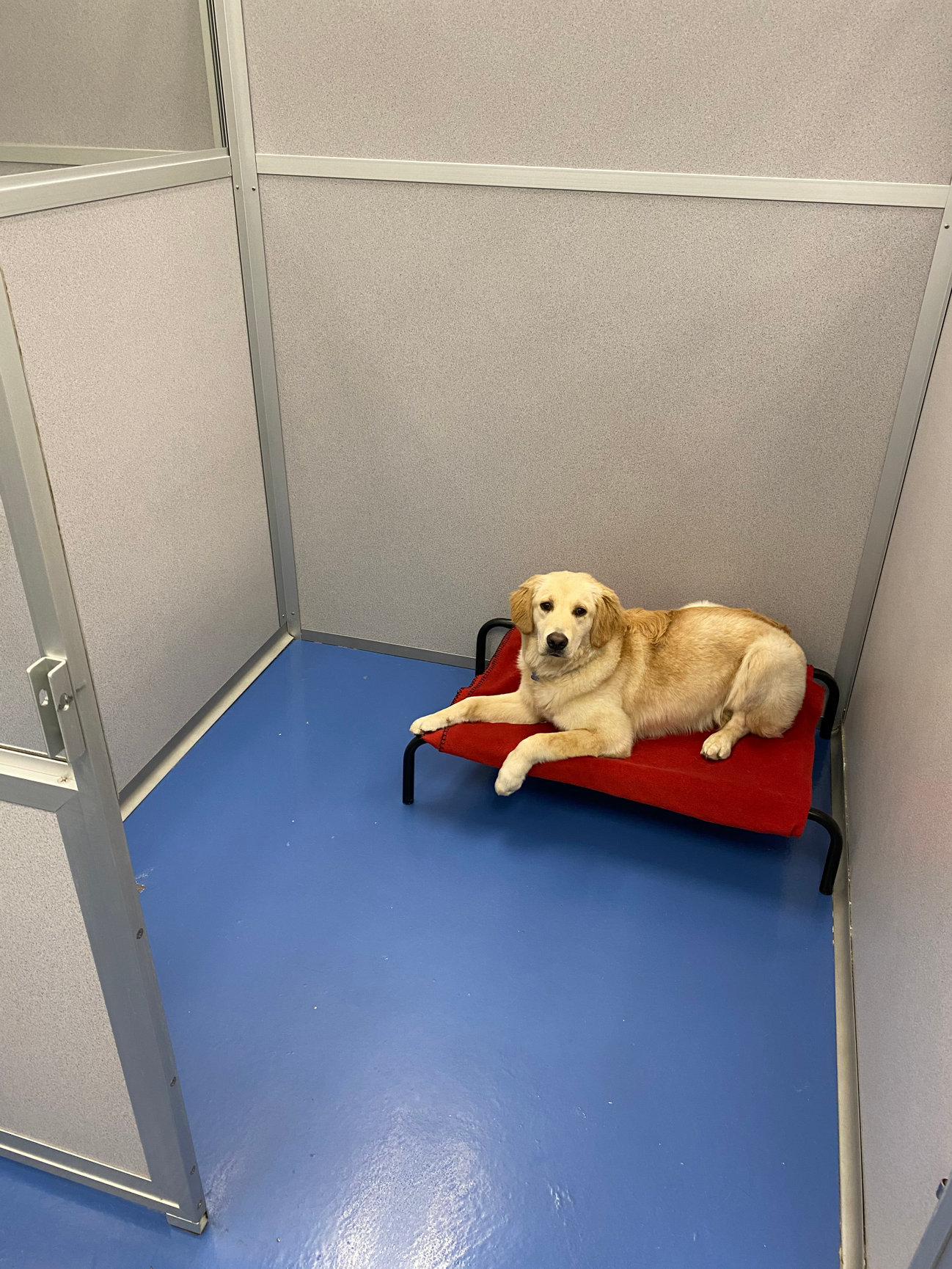 MILWAUKEE Playtime Doggy Daycare