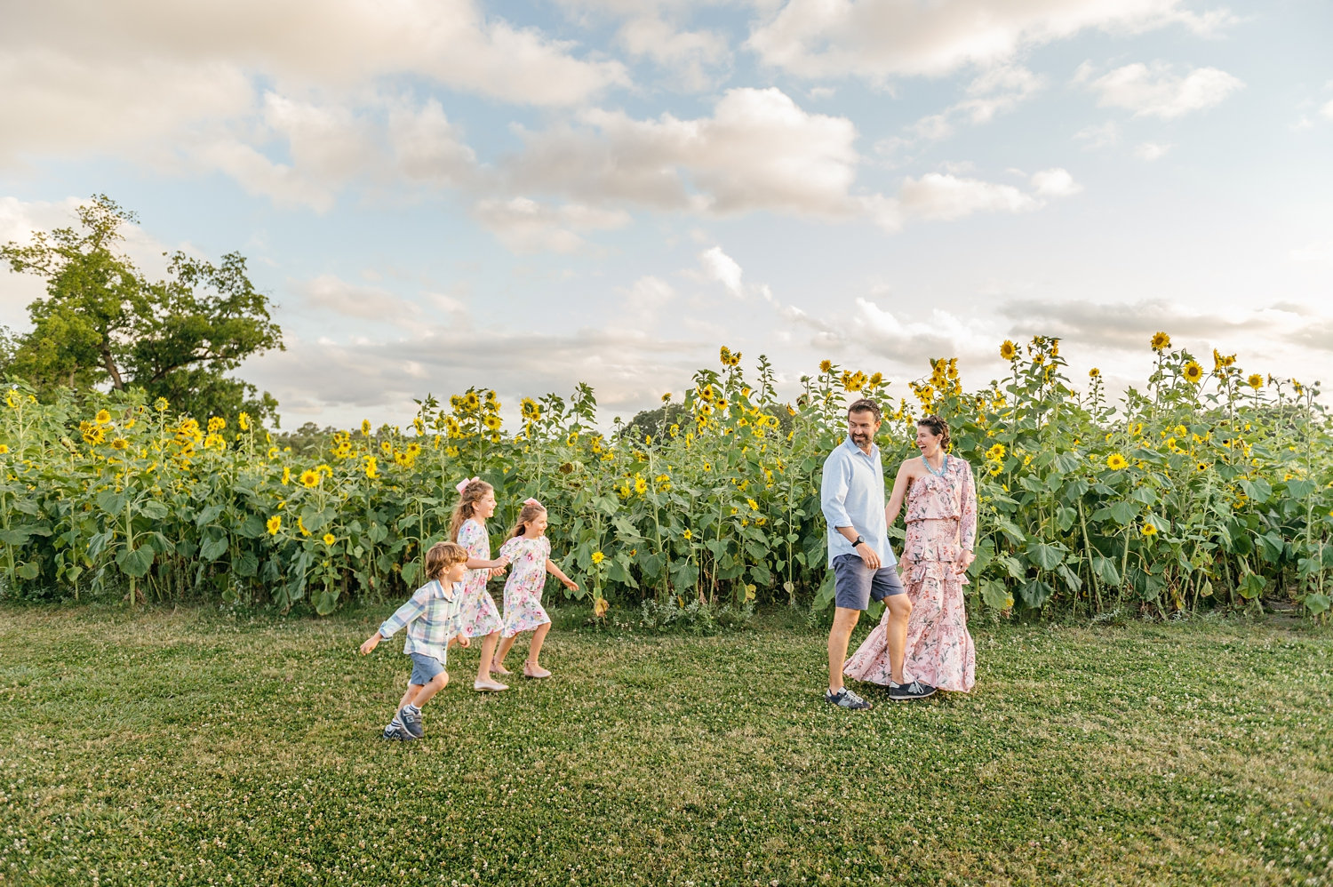 family and sunflower field, golden hour photography, golden hour family photography, Rya Duncklee Portraits