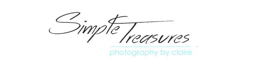 Simple Treasures Photography Logo