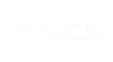 LeAnn Stamper Photography Logo