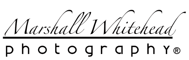 Marshall Whitehead Logo