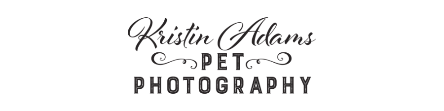 Kristin Adams Pet Photography Logo
